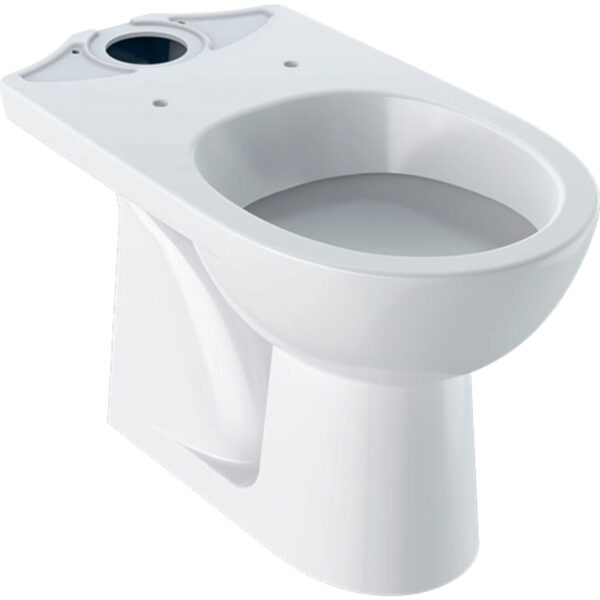Geberit Selnova podna WC šolja za predzidni vodokotlić , vertikalni odvod,  500.281.01.7